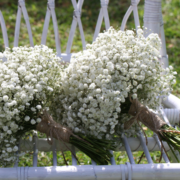 Babies Breath Bouquets