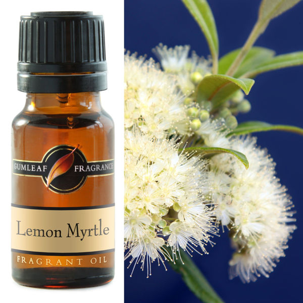 Lemon Myrtle Fragrance Oil | BUCKLEY & PHILLIPS