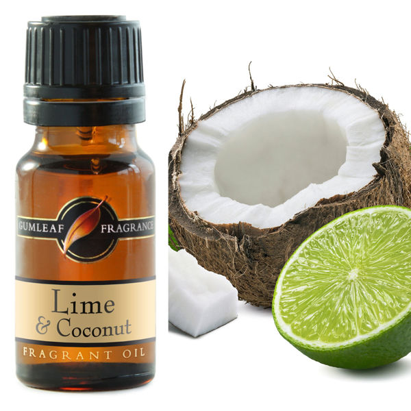 Lime & Coconut Fragrance Oil | BUCKLEY & PHILLIPS 