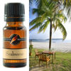 Seabreeze Fragrance Oil | BUCKLEY & PHILLIPS
