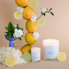 yuzu-sea-moss-standard-candle-palm-beach