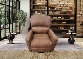 Picture for category Electric Lift Chair