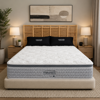 Therapedic Chiropractic Mattress - Queen   Mattress Resources
