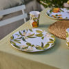 Citrus Grove - Leaves Melamine Large Plate | Madris Link