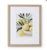 Lemon Bowl Framed Print -  33cm x 41cm | Madras Link
